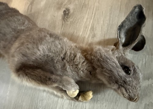 Soft mount grey rabbit - grey,