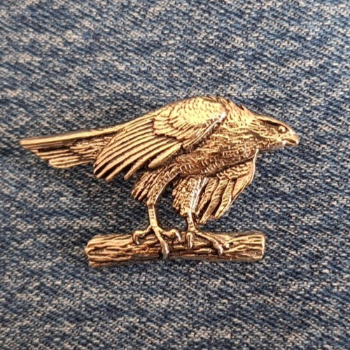 Habicht silberner greifvogel - habicht,