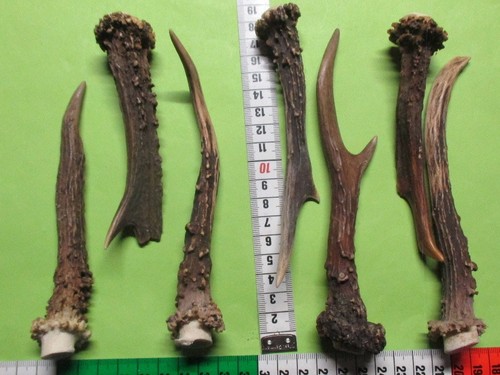 Rehstangen hirschhorn - ,