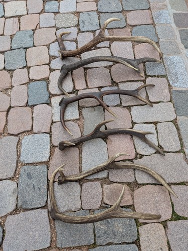 Abwurfstangen gewicht - st.,