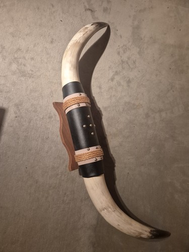 Amerikanischer longhorn - amerikanischer,