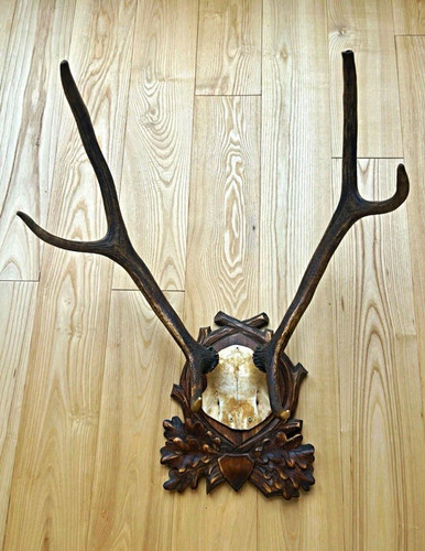 Bock geweih auf - bock-geweih,