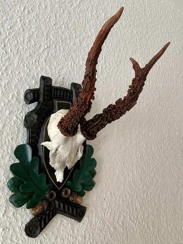 Rehgeweih bock reh geweih - rehgeweih,