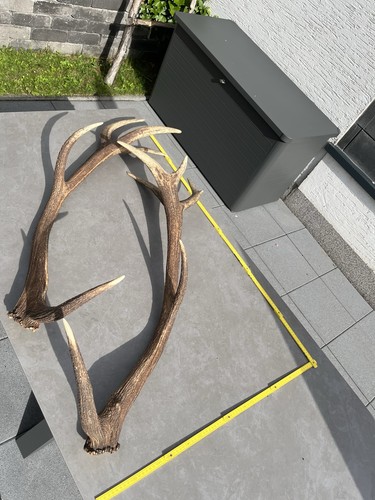 Hochkapitale sehr lange - hochkapitale,,