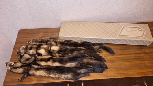 Gegerbte marder iltisfelle - gegerbte, marder/-
