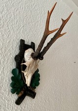 Rehgeweih Bock Reh Geweih