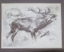 Bilddruck mit röhrendem