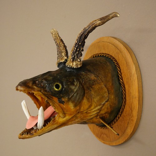 Fischwolpi wolpertinger mit - wolpertinger,