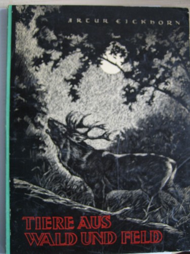 Album tiere aus wald - tiere, feld