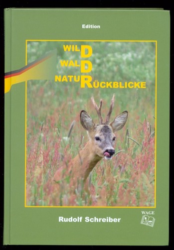 Wild wald natur - wald,