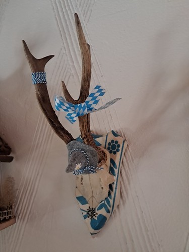 Reh geweih bayrisch - ,