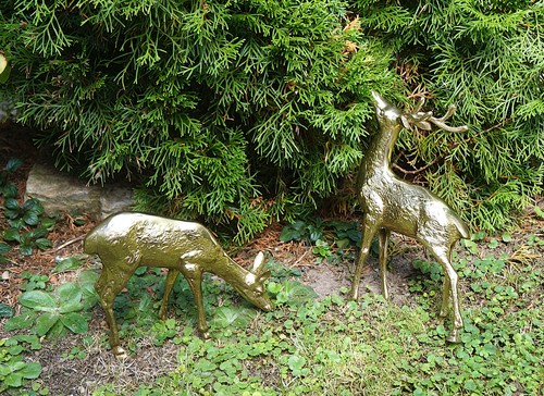Hirsch mit hirschkuh - hirsch,