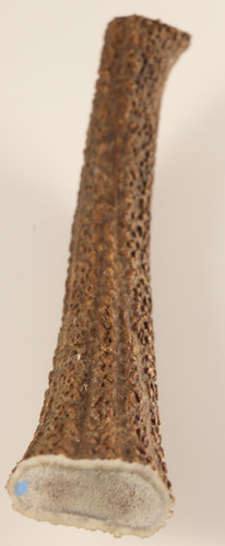 Geweih hirschhornstück horn - geweih,