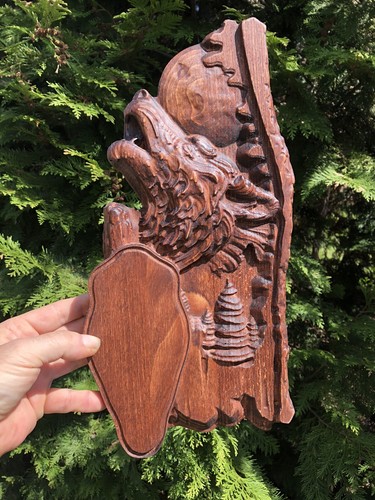Trophäenschild rehbock aus - rehbock,