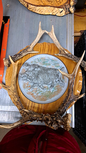 Jagdtrophäe wandbild mit - jagdtrophäe,
